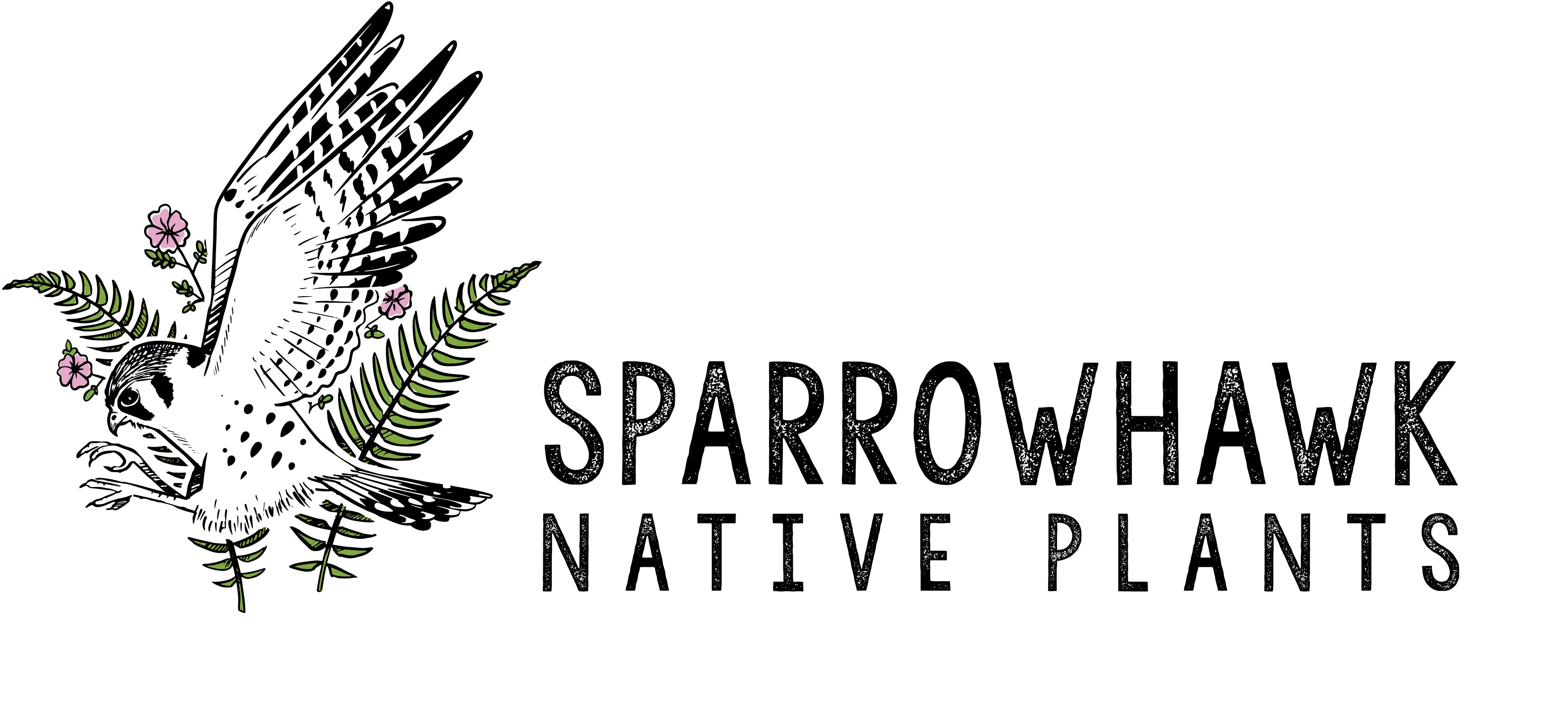 Sparrowhawk Native Plants